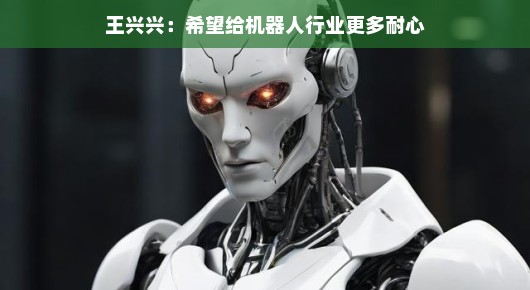 王兴兴,希望给机器人行业更多耐心 王兴兴,希望给机器人行业更多耐心