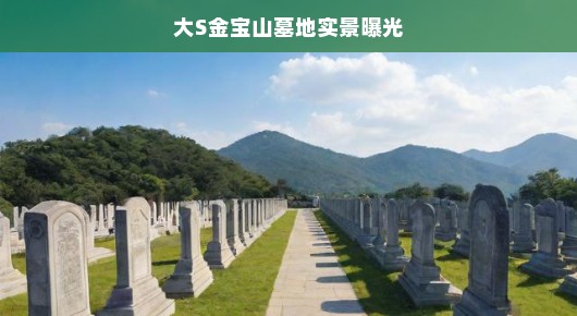 大S金宝山墓地实景曝光，一览宁静与优雅