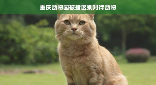 重庆动物园动物待遇引发关注，是区别对待还是管理差异？