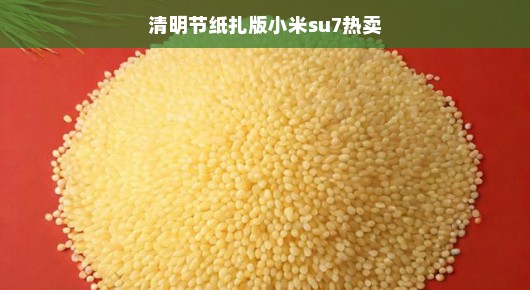 清明节纸扎版小米Su7为啥这么火爆？轻松解读背后的故事。