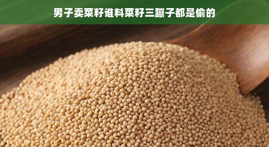 男子卖菜籽，谁料菜籽三蹦子都是偷的