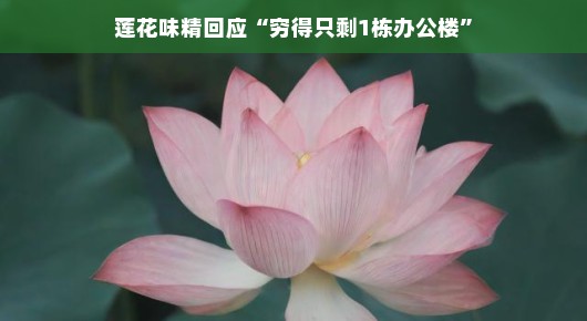 莲花味精回应穷得只剩一栋办公楼传闻，事实与传闻大相径庭