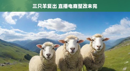 三只羊复出与直播电商整改之路，未完待续的征程