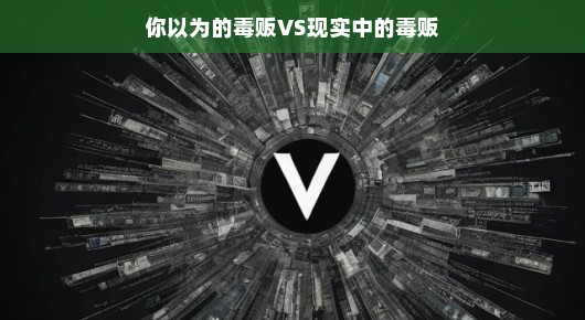 你以为的毒贩VS现实中的毒贩黑白之间的落差，毒贩的误解与真相