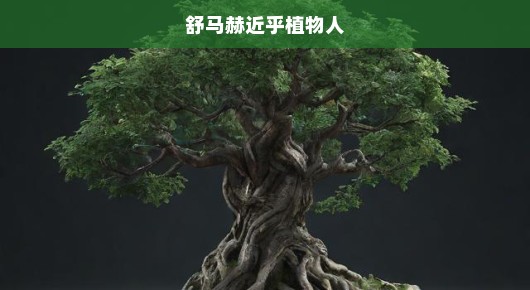 舒马赫近乎植物人的故事，奇迹与希望的力量