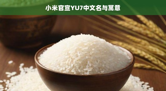 小米官宣YU7中文名揭晓，探寻背后的寓意与故事