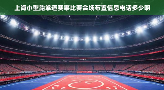 上海小型跆拳道赛事比赛会场布置信息—细节决定成败