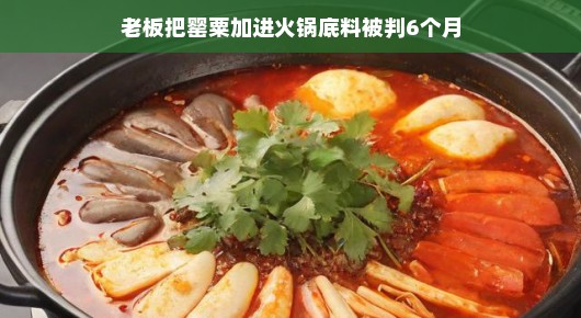 罂粟火锅底料事件揭秘，老板因非法添加获刑六个月的纪实报道