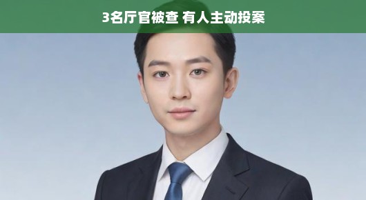 轻松视角解读，三名厅官被查，一人主动投案的背后故事
反腐新篇章，三名厅官的落马与一名自首者的智慧
