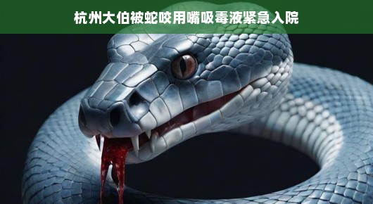 杭州大伯遭遇蛇咬危机，勇敢用嘴吸毒液紧急入院