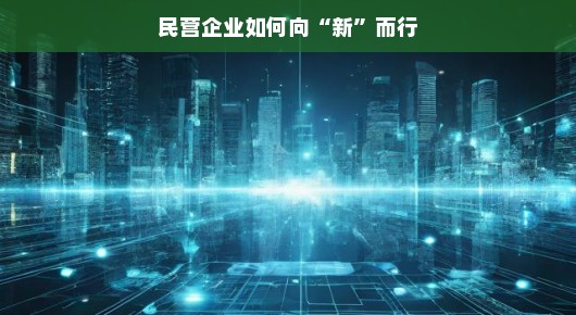 民营企业如何向新而行—探索创新之路