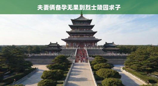烈士陵园里的求子之旅，备孕路上的希望与坚持