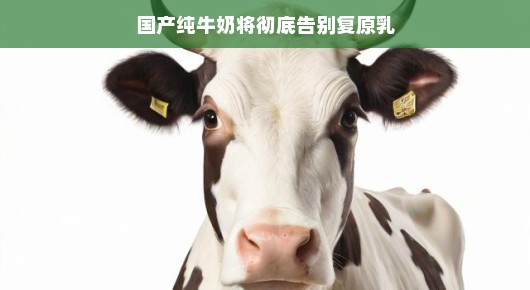 国产纯牛奶，迈向新鲜，告别复原乳的时代