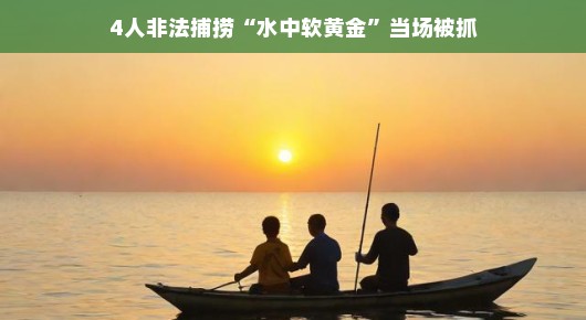 水中软黄金轻松到手，四人非法捕捞终尝铁窗滋味