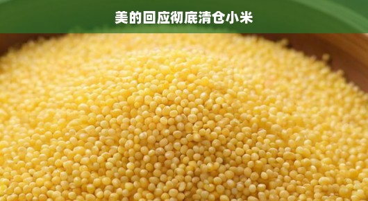 美的彻底清仓小米，一场意料之外的商业变革