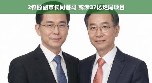 两位原副市长双双落马，涉事37亿烂尾项目背后的故事