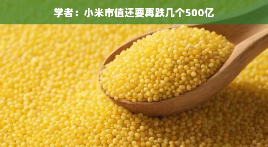 学者观察,小米市值波动,未来是否还有下降空间? 学者观察,小米市值波动,未来是否还有下降空间?