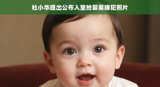 杜小华提出公布入室抢婴案嫌犯照片，公众安全的呼唤与正义的加速