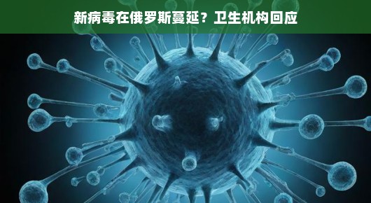 新病毒在俄罗斯蔓延，卫生机构的回应与我们的应对之道