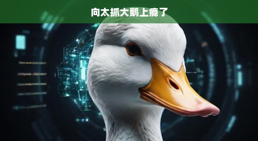 向太对萌鹅爱不释手，玩得不亦乐乎！