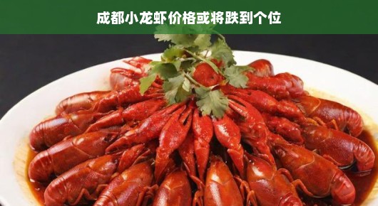 嘿，成都的小龙虾迷们，准备好大快朵颐了吗？小龙虾价格跌破天际，狂欢盛宴即将拉开帷幕！吃货们，集结起来！