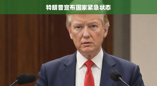 特朗普宣布国家紧急状态，一场意料之外的转折？当危机遇上决断—特朗普总统的国家紧急状态宣示