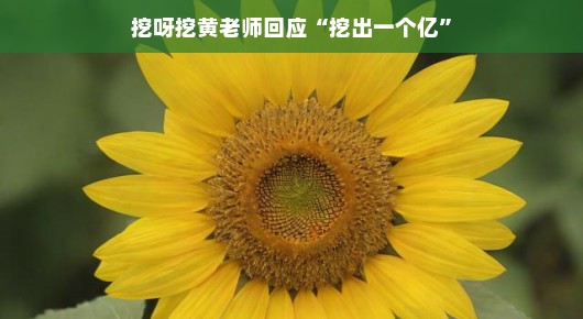 挖呀挖黄老师回应挖出一个亿，教育之花绽放的奇迹