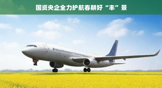 国资央企全力护航春耕好丰景