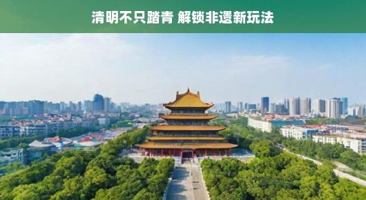 清明新风尚,踏青之外还有非遗魅力等你解锁!一起探索不一样的乐趣!,让我们以更轻松、更富有探索精神的态度迎接清明节,除了传统的踏青之外,还有丰富的非遗文化等待我们去发掘和体验,一起开启不一样的乐趣之旅吧!