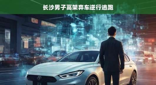 长沙男子高架弃车逆行逃跑,背后的故事引人深思