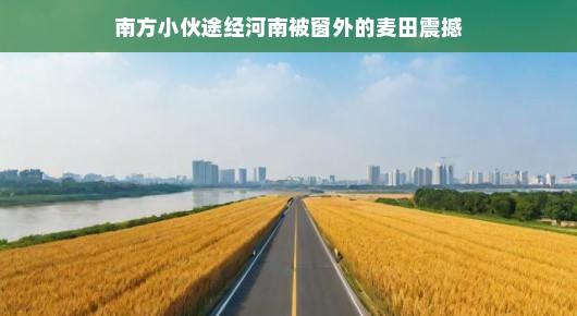 南行路上的一抹金黄,河南麦田的震撼之旅