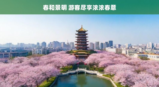 春光无限好，游客尽享愉悦春游，心情美滋滋～