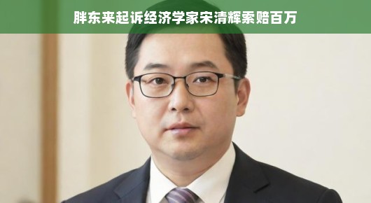 轻松解读，胖东来与经济学家宋清辉的百万索赔纠纷