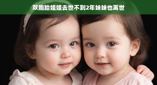 双生花姐妹相继离世，生命遗憾与希望交织的悲欢时刻