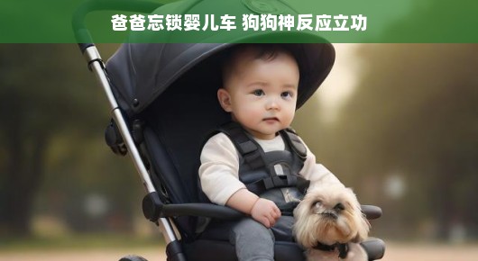 哈哈！爸爸的粗心意外成就狗狗英雄时刻！婴儿车未锁，小卫士狗狗守护安全上线啦！