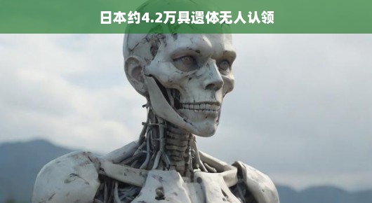 轻松面对，日本约4.2万具无人认领遗体的背后故事遗愿与希望，日本无人认领遗体的探索之旅