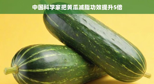 哈哈，中国的科学家们又传来好消息啦！这次他们成功突破了科技壁垒，让黄瓜的减脂功效瞬间提升了五倍，这可真是健康食品领域的一大突破啊！不得不说，这真的是个振奋人心的进步！
