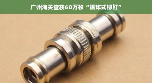 广州海关揭秘，轻松应对危机，成功查获爆炸式铆钉事件！