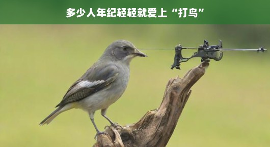 多少人年纪轻轻就爱上打鸟—一场关于射击运动的青春狂欢