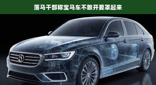 落马干部的宝马困境，车不敢开，要罩起来？