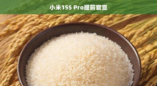 🎉全新小米15S Pro震撼登场，性能大跃进，科技魅力无限！你准备好畅游科技新世界了吗？🎉，大家好！带来一个超级激动人心的消息！备受期待的小米15S Pro现在提前亮相！全新升级，性能飞跃，惊喜连连看，准备好感受这场科技盛宴了吗？让我们共同倒计时，一起期待这场技术的狂欢吧！🎈，📣主要亮点大揭秘，，一、小米15S Pro，带你领略科技新境界！独特设计，顶级配置，前所未有的用户体验，让你一用就爱不释手！，二、轻松实现性能飞跃，小米15S Pro的性能提升前所未有！无论是处理器、摄像头还是电池续航，我