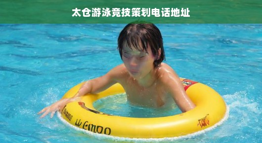 太仓游泳竞技策划中心—打造水上精英的摇篮 太仓游泳竞技策划中心—打造水上精英的摇篮