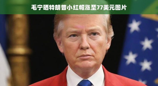毛宁晒特朗普小红帽涨至77美元图片,掀起网络热议