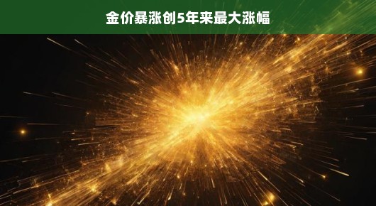 金价暴涨，创五年最大涨幅，投资新机遇来临？