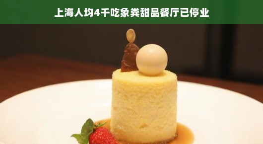 轻松品味生活，上海象粪甜品餐厅的开业与停业