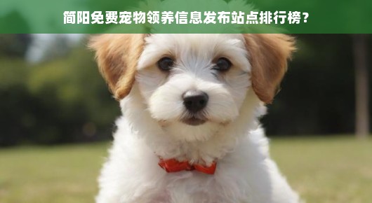 简阳免费宠物领养信息发布站点排行榜