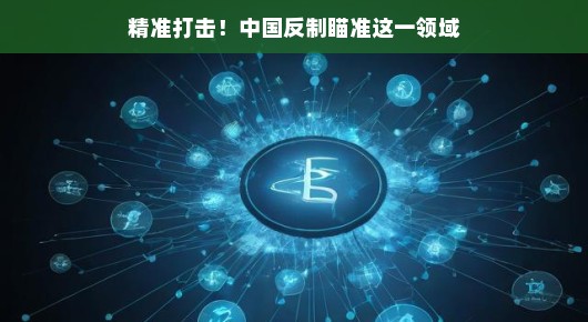 精准打击，中国反制瞄准科技领域