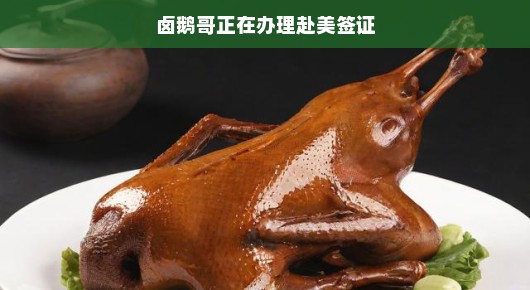 卤鹅哥踏上新的旅程，办理赴美签证的喜悦与挑战