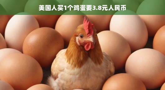 鸡蛋价格之谜，美国人的鸡蛋账单揭秘