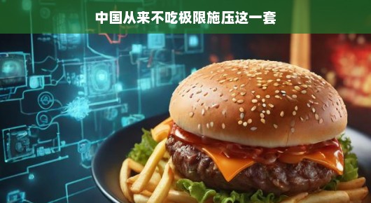 中国从来不吃极限施压这一套 中国从来不吃极限施压这一套